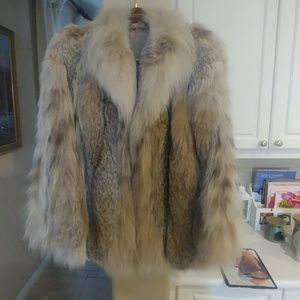 Lynx coat